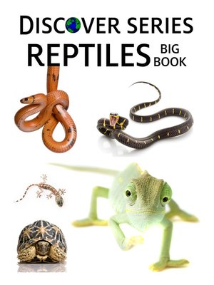 cover image of Reptiles Big Book